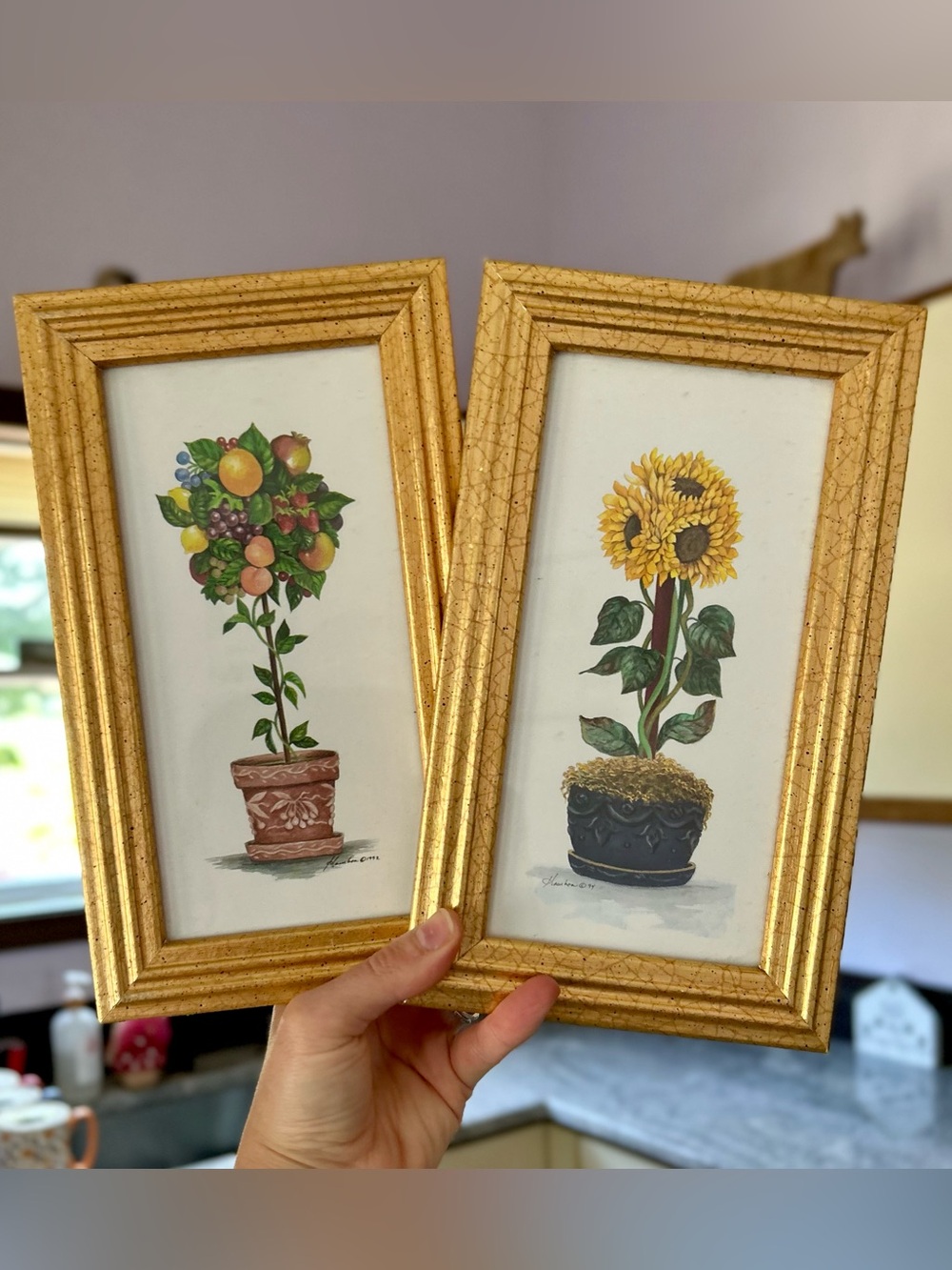 Framed Vintage Botanical Floral Fruit Tree + Sunflower Print Wall Set